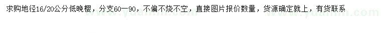 求购地径16、20公分晚樱