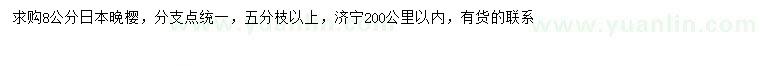 求购18公分日本晚樱