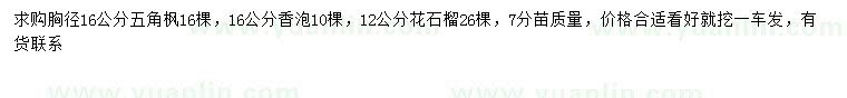 求购五角枫、香泡、花石榴