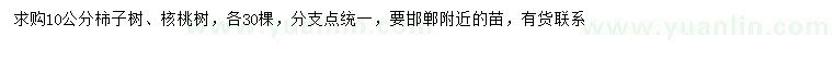 求购10公分柿子树、核桃树