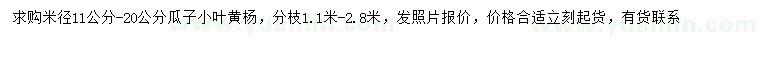 求购米径11-20公分瓜子黄杨