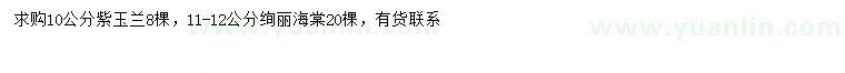 求购10公分紫玉兰、11-12公分绚丽海棠