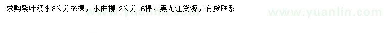 求购8公分紫叶稠李、12公分水曲柳