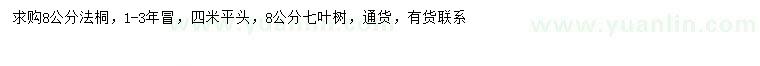 求购8公分法桐、七叶树