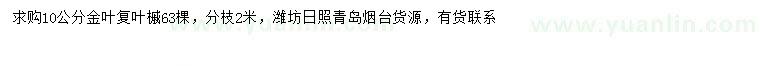 求购10公分金叶复叶槭