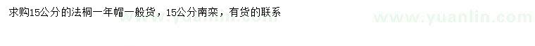 求购15公分法桐、南栾