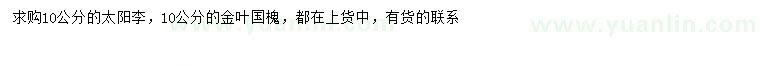 求购10公分太阳李、金叶国槐
