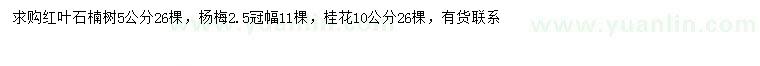 求购红叶石楠、杨梅、桂花