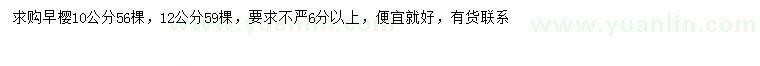 求购10、12公分早樱