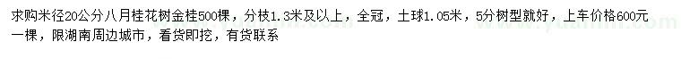 求购桂花、八月桂、金桂