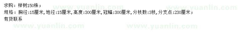 求购胸径150公分榉树