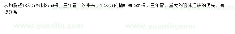 求购12公分榆叶梅、胸径13公分栾树