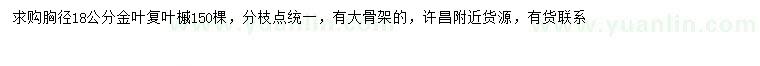 求购胸径18公分金叶复叶槭