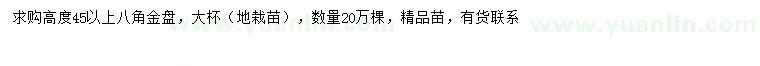 求购高45公分以上八角金盘