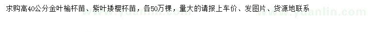 求购高40公分金叶榆、紫叶矮樱