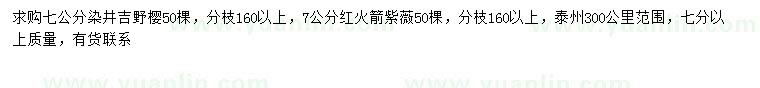 求购7公分染井吉野樱、红火箭紫薇