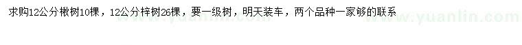 求购12公分楸树、梓树