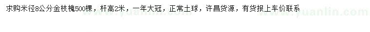 求购米径8公分金枝槐