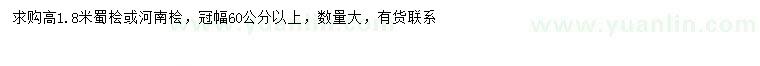 求购高1.8米蜀桧、河南桧