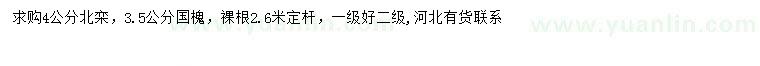 求购3.5国槐、4公分北栾