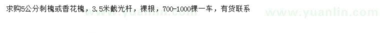 求购5公分刺槐、香花槐