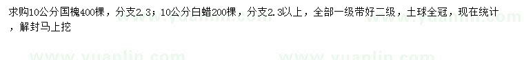 求购10公分国槐、白蜡