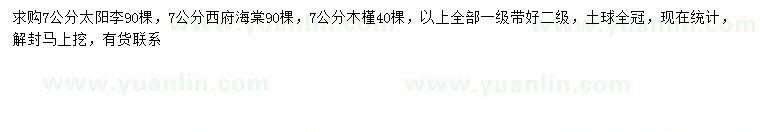 求购太阳李、西府海棠、木槿