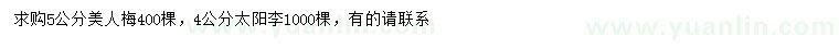 求购4公分太阳李、5公分美人梅