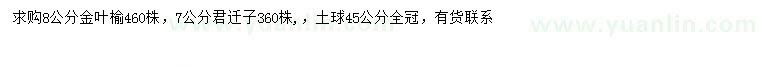 求购7公分君迁子、8公分金叶榆