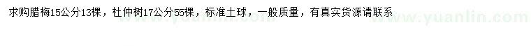 求购15公分腊梅、17公分杜仲