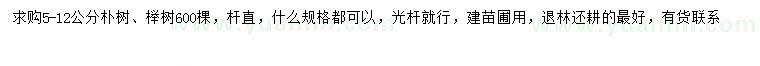 求购5-12公分朴树、榉树