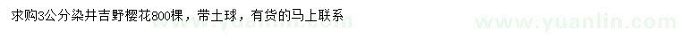 求购3公分染井吉野樱