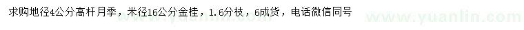求购地径4公分高杆月季、米径16公分金桂