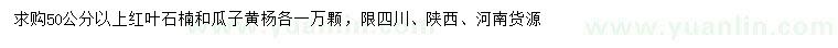 求购50公分以上红叶石楠、瓜子黄杨