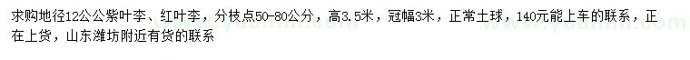 求购地径12公公紫叶李、红叶李