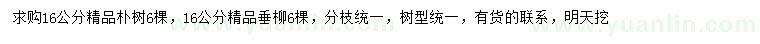 求购16公分朴树、垂柳