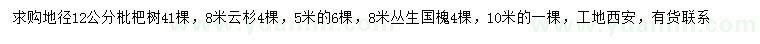 求购枇杷、云杉、丛生国槐