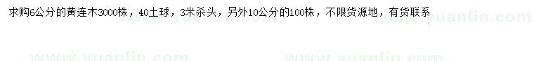 求购6、10公分黄连木