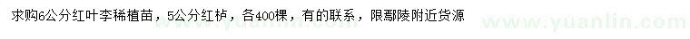 求购5公分红栌、6公分红叶李