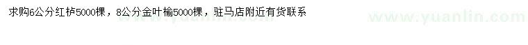 求购6公分红栌、8公分金叶榆