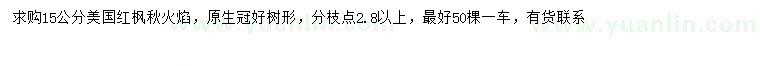 求购15公分美国红枫秋火焰