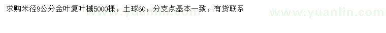 求购米径9公分金叶复叶槭