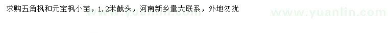 求购五角枫小苗、元宝枫小苗