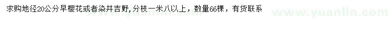 求购地径20公分早樱、染井吉野樱