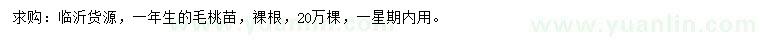 求購毛桃苗