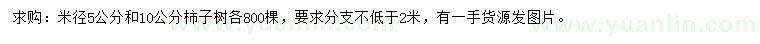 求购米径5、10公分柿子树