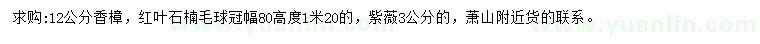 求购香樟、红叶石楠球、紫薇