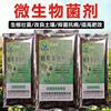 苗木用微生物菌剂增根壮苗防根腐防重茬改良土壤防治土传病害