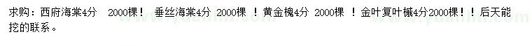 求购西府海棠、垂丝海棠、黄金槐等