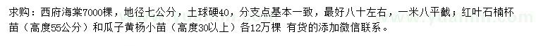 求购西府海棠、红叶石楠、瓜子黄杨